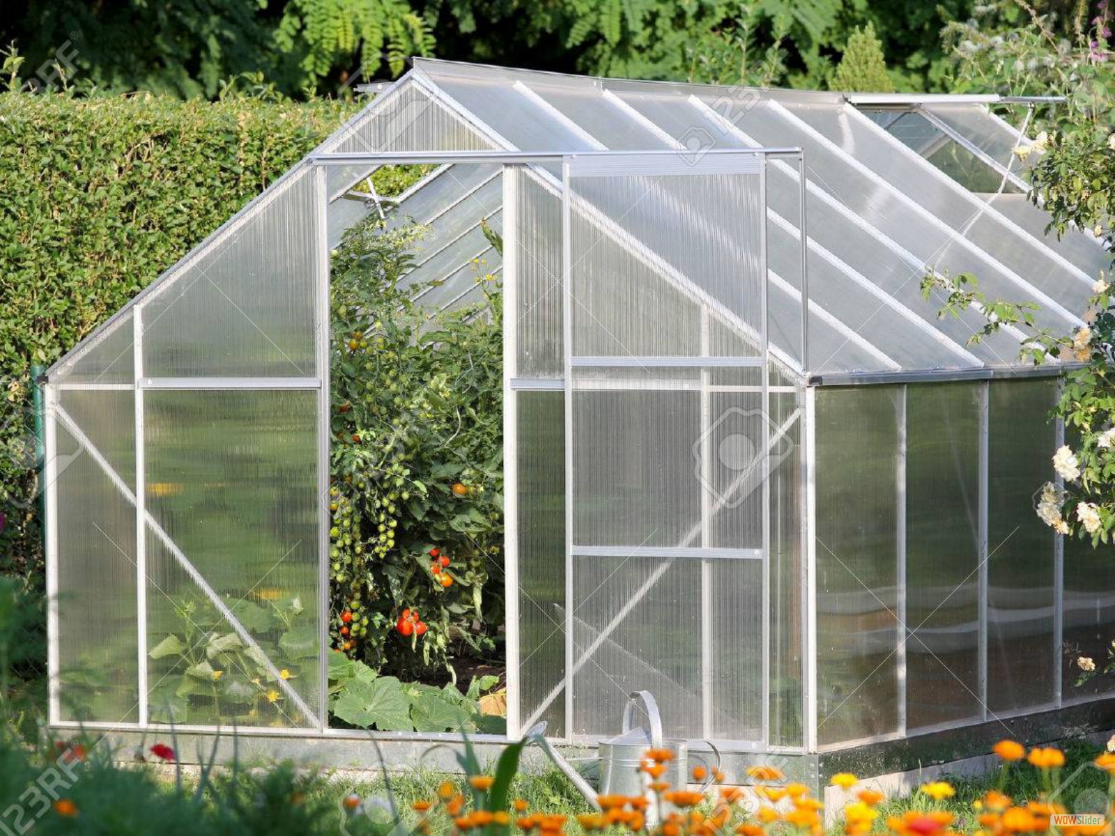 jquery image carousel