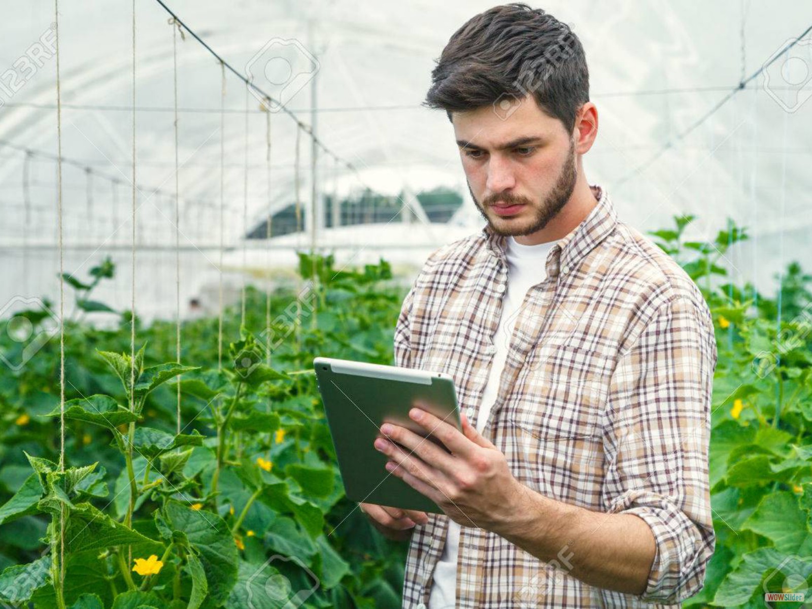 44191126-young-man-working-in-a-greenhouse-recording-measurements